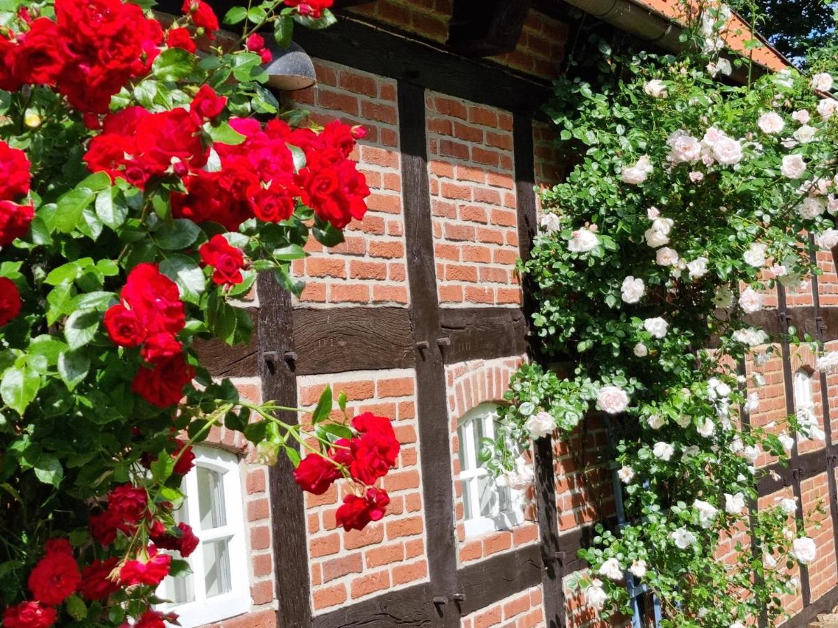Gaestehaus Am Kattensteert Borchel Exterior foto